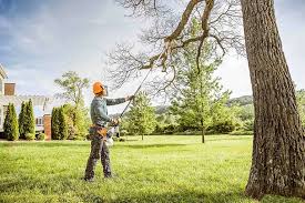  Wrightsville, PA Tree Care Pros