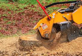Best Commercial Tree Services  in Wrightsville, PA